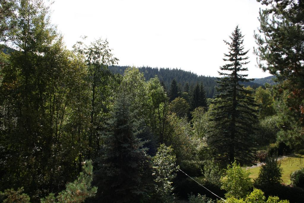 Konvalinka - Ubytovani V Soukromi Harrachov Exterior photo